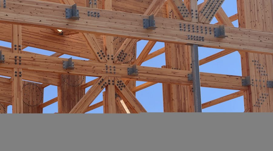 Foto 20-1-26, 12 31 26